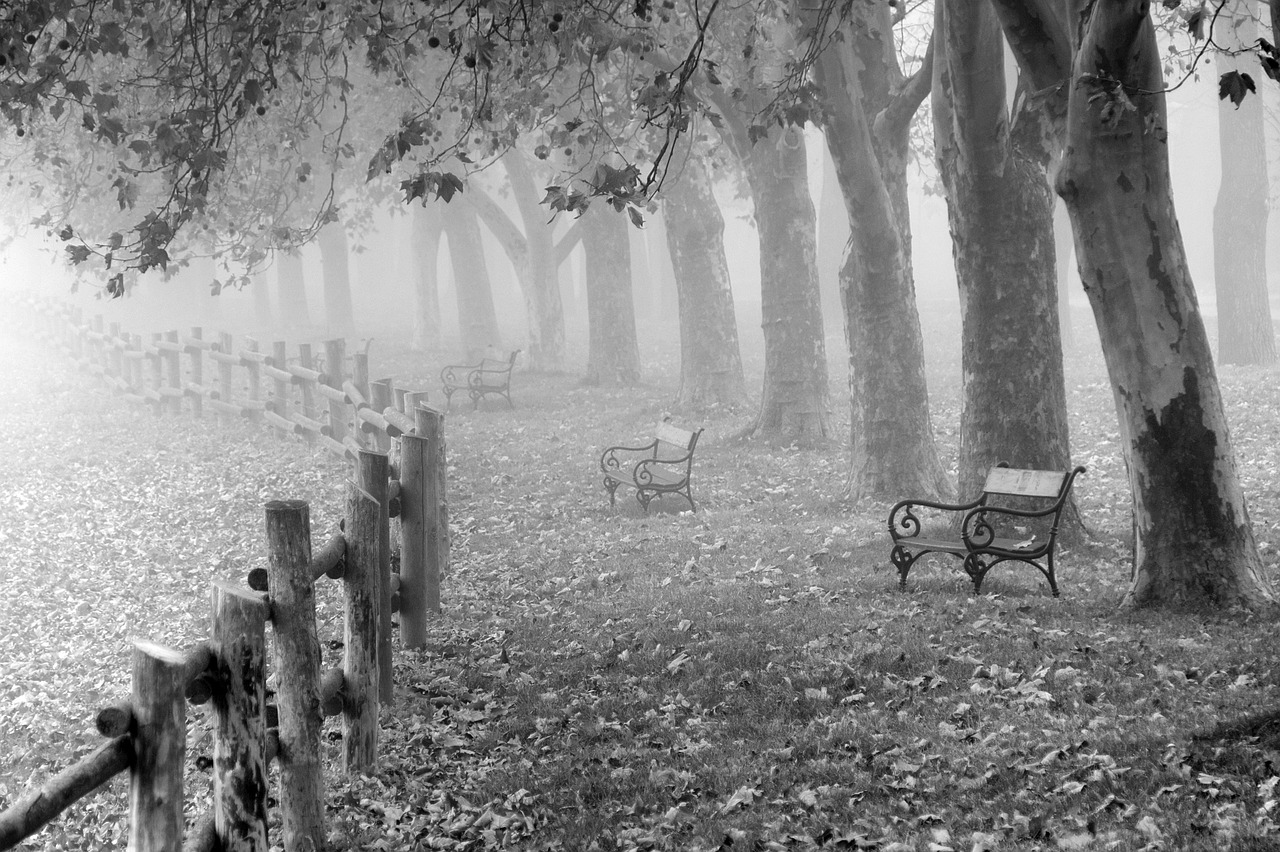 Monochrome Mood
